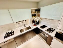 The Residences at W Singapore Sentosa Cove (D4), Condominium #428464451